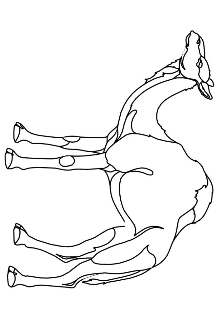 Dibujos Reyes Magos para colorear Gratis